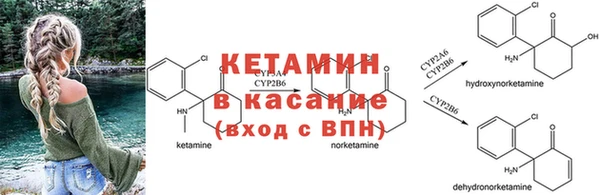 гашиш Дмитриев