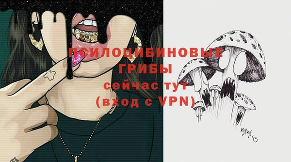ALPHA PVP Дмитров